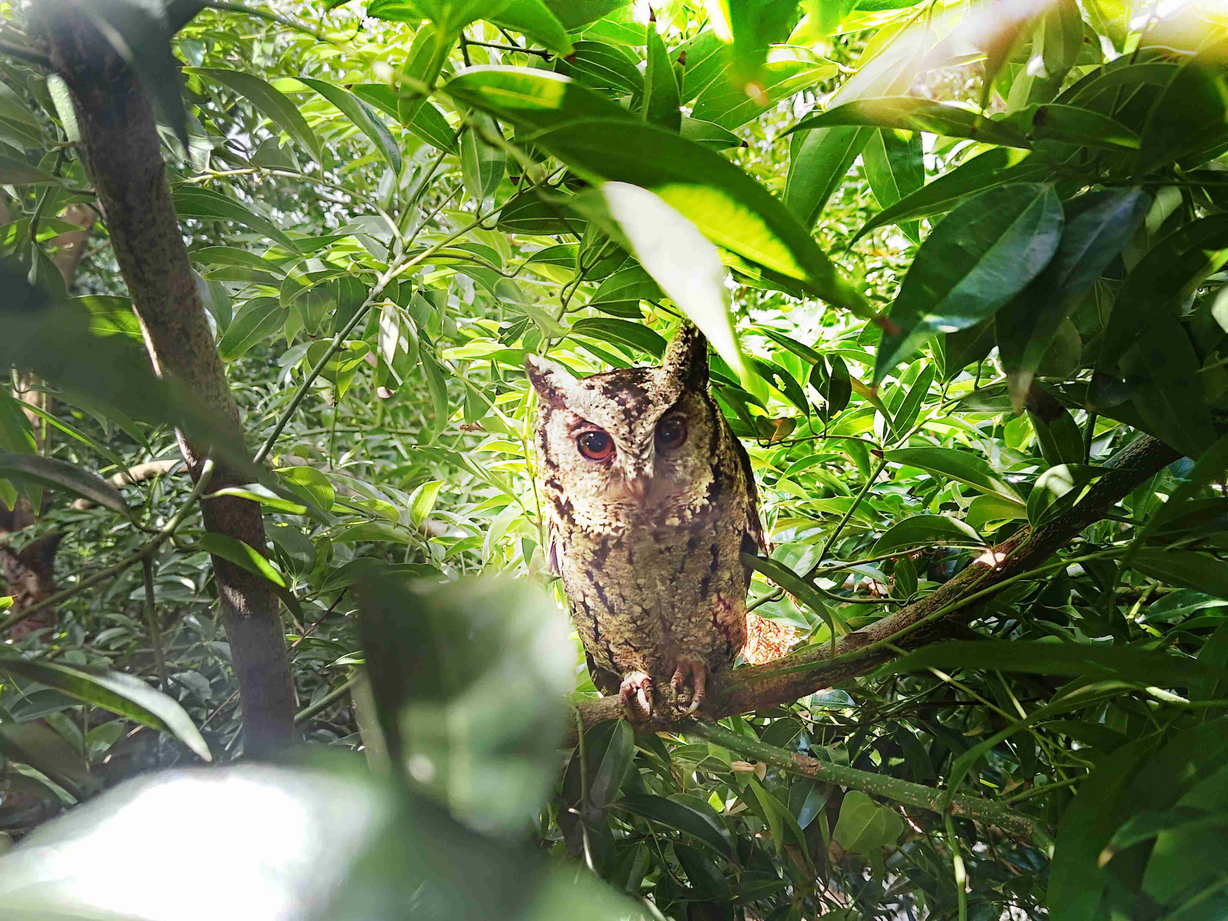 云顶国际8588yd致力提倡净零绿生活，，，，16年以来在全球各厂区植树逾百万棵，，，造就各厂区树木蔚然成林，，，，犹如森林工厂，，，，成为许多生物的栖息地